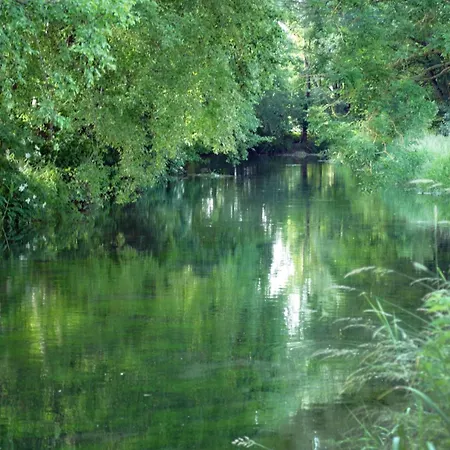 Romantik Landgasthof Adler Hotell 3*